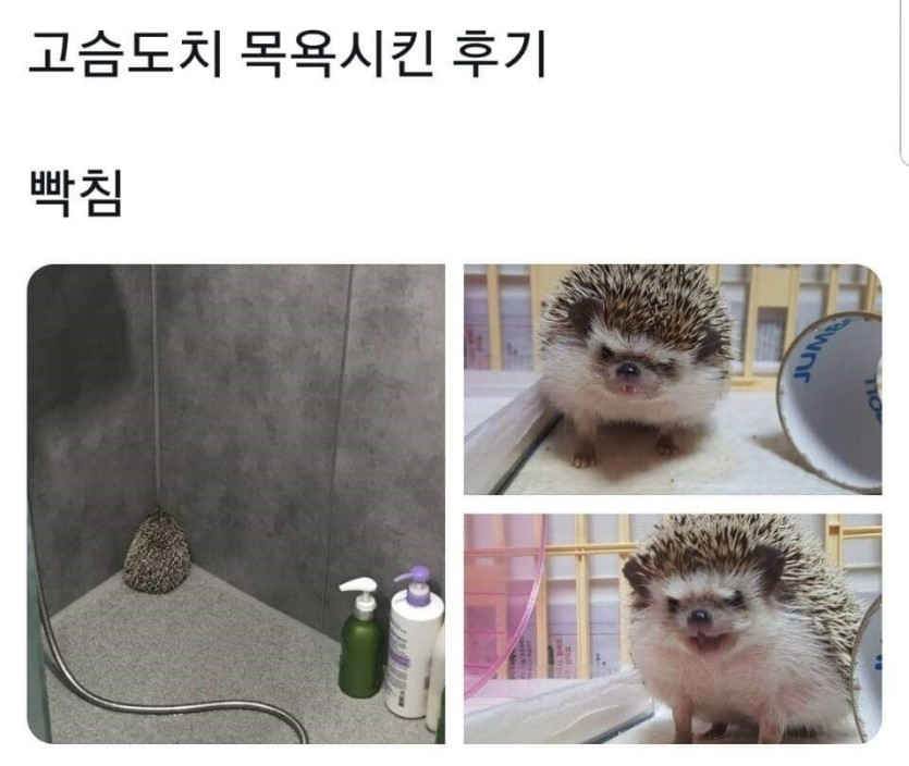 9fe93c0f3f431ebcff1117e91ba4ac0e_1761751725_665.jpeg
